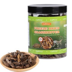 Dried Grasshoppers for Reptiles – All Natural High Protein Insect Treats for …