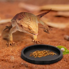 2PCS Reptile Shallow Water Dish Plate Tortoise Food Feeding Bowl Small Pet Gift