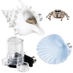 Magnetic Jumping Spider Enclosure Hide Kit with Conch Shelter Shell Ledge and…