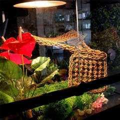 PINVNBY Bearded Dragon Hammock,Reptile Lounger Natural Medium, As Shown