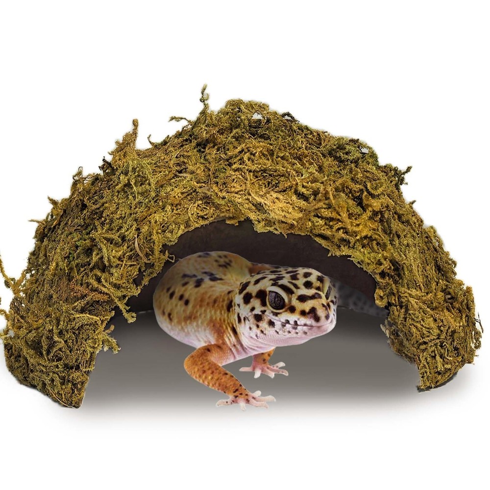 Green Coconut Leopard Gecko Hide Reptile Cave Tank Accessory
