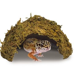 Green Coconut Leopard Gecko Hide Reptile Cave Tank Accessory