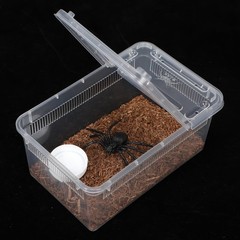 8 Pcs Reptile Breeding Box Plastic Spider Terrarium Tarantula Feeding Box for…