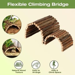 Crested Gecko Terrarium Accessories, Bearded Dragon Terrarium Accessories