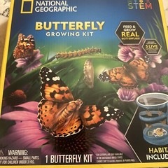 NATIONAL GEOGRAPHIC Butterfly Growing Kit – Butterfly Habitat Kit OG Feed Learn