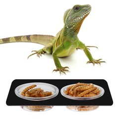 EBOOT 500 Pcs Plastic Feeder Cups – Reptile Water & Food 0.5oz, Transparent