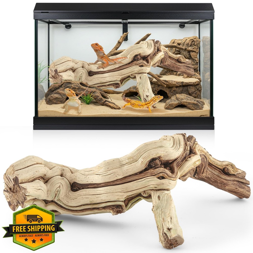 Janinka Reptile Branch 18-20″