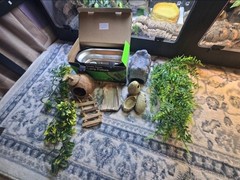 Reptile Supplies