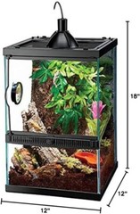 Tropical Vertical Habitat Starter Kit for Small Tree Dwelling Reptiles & Amph…