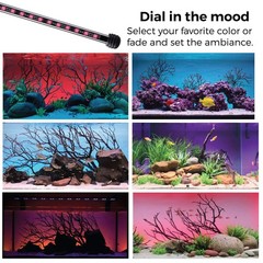 CURRENT USA 48″ Serene Aquarium LED Background Light Kit | Fish Tank Lighting…