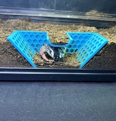 Hermit Crab Tank Decor Underground Tunnel Hideout Cave Hermit Crab Accessories