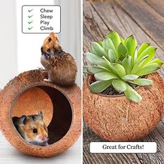 Raw Coconut Shell House for Gecko Snake Ball Python Reptile Hide