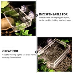 2pcs Reptile Water Dish Transparent Basin Lizard Feeder Anti-Escape Feeding Bowl