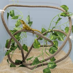 Eco-Friendly 8FT Reptile Vines – Durable, Waterproof Habitat Decor with Leaves