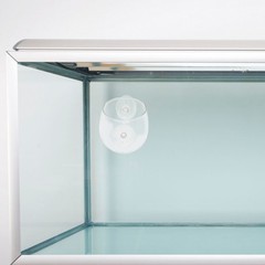 Reptile Feeder Escape Food Box Feeding Basin with Suction Cup Gecko Feeding Box