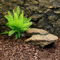 Turtle Basking Platform Shale Scape Step Ledge, Reptile Cave Hideout Turtle Tank