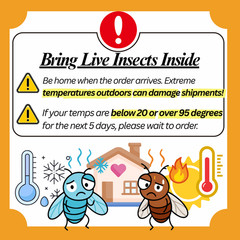 TC INSECTS Golden Hydei Fruit Fly Cultures 4 Pack – 2 Golden Hydei + 2 Hydei