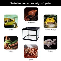 Mini Reptile Glass Terrarium Tank 8 * 8 * 6″ Full View, Amphibians Box Habita…