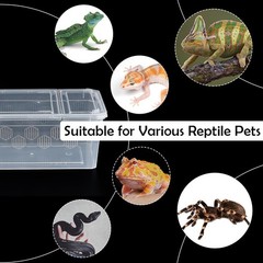 6 Pack Reptile Feeding Box Breeding Transparent color
