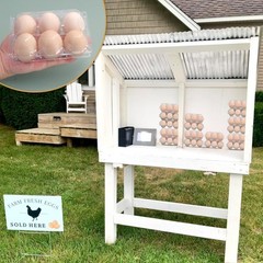 150 Pack Half Dozen Egg Cartons Bulk, 2×3 Clear Plastic Chicken Egg Holders, …