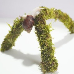 12 Inch Pet Snail Climbing Toys Terrarium Accessories Snail Habitat Enrichment