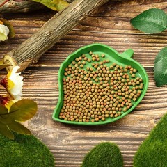 2-Piece Leaf Shape Reptile Feeding Dish for Tortoise & Small Pets – Easy Clean