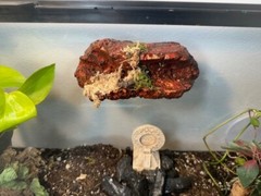 Magnetic Rock Ledges For Terrariums And Cages (Limited Edition) Medium LAVA