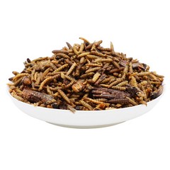 1LBS Bulk Dried Insect Trail Mix Dried Mealworms BSFL Dried Crickets Grasshopper