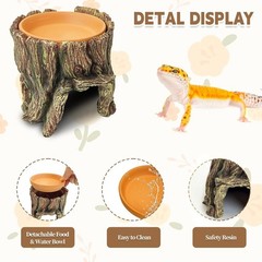 3 in 1 Reptile Hide Cave W/ Removable Sump & Humidity Water Dish,Reptiles