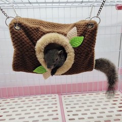 Small Animal Hammock, Hamster Hanging Bunkbed Hammock & Tunnel Warm Bed House…