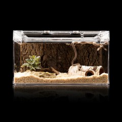 Artificial Birch Log Tortoise Small Animal Habitat Bearded Dragon Hide Cave↑