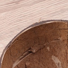 Coconut Hide for Crested Gecko Natural Reptile Hideouts Hut Cave Habitat