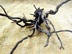 NATURAL SPIDER LIKE ROOT WOOD REPTILE TERRARIUM DECORATION ART GARDEN PET FLORAL
