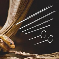 6Pcs Reptile Snake Gender Detection Tool Round Ball Tip Lightweight Premium