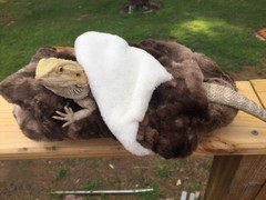 MINKY MARB FAUX FUR LRG ATTACHABLE RESTING BED SET CUDDLE COVER 4 BEARDED DRAGON