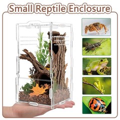 8x4x4 Inch Vertical Acrylic Jumping Spider Tarantula Enclosure Terrarium