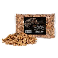Ball Python Snake Habitat 10 Gallon Terrarium Baby Snake Starter Kit XYZReptiles