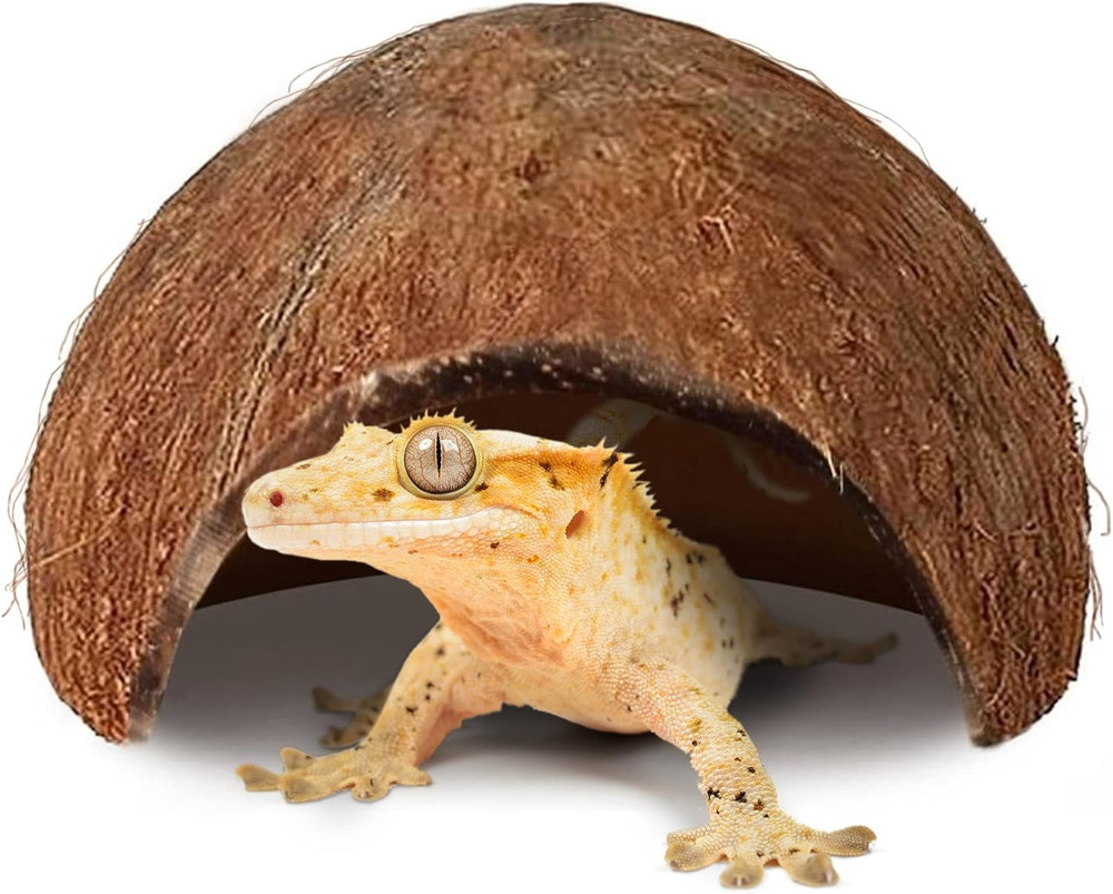 Coconut Hut for Crested Gecko, 5X3 Inches Reptile Climbing Hide, Leopard Gecko T