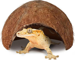 Coconut Hut for Crested Gecko, 5X3 Inches Reptile Climbing Hide, Leopard Gecko T