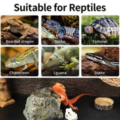 Bearded Dragon Tank Accessories, Reptile Carpet Bedding, 18×72″ Black