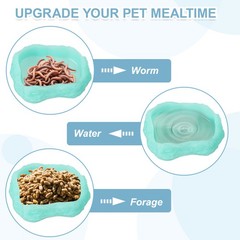Reptile Food Bowl Worm Water Dish Ceramic Pet Bowl Small