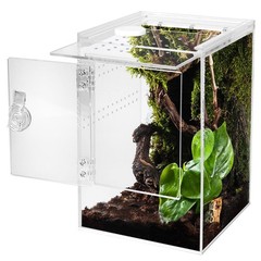 Tall Arboreal Tarantula Enclosure Jumping Spider Acrylic Reptile Habitat