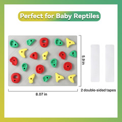 Climbing Wall for Reptiles, Reptile Tank Terrarium Accessories Habitat Decor for
