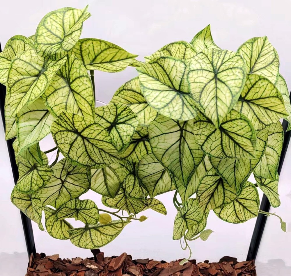 KERUIDENG Reptile Plants for Terrarium Decor, Amphibian Green Arrowhead