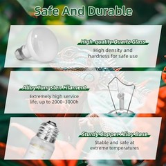 100W Reptile UVA Basking Heat Bulbs 2 Pack