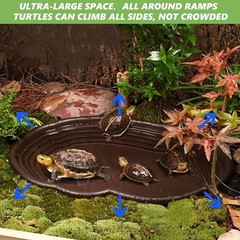 3PCS Tortoise Water Bowl with Ramp Leaf Tortoise Water Food Dish Turtle Pool …
