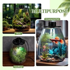 LED Glass Plant Terrarium Kit – Desktop Planter for Succulents, Moss & Mini Gard