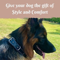 Genuine Real Leather Dog Collar for Medium Dogs, Heavy Duty Strong and Wide D…