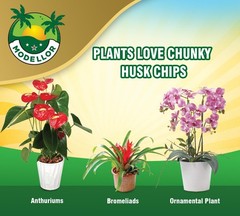 Premium Super Washed, Clean, Coco Chips, 2 Bricks (2.2 lb.) yields 14 Qts. of…