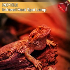 Reptile Heat Lamp Blub, 2Pack 100W Day & Night Reptile Heat Lamp, UVA Dayligh…